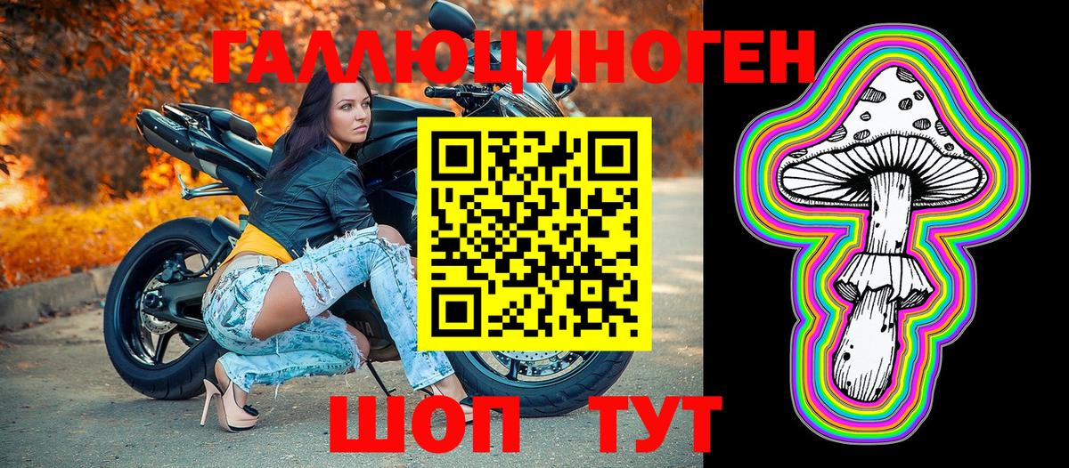 Псилоцибиновые грибы прущие грибы Ипатово