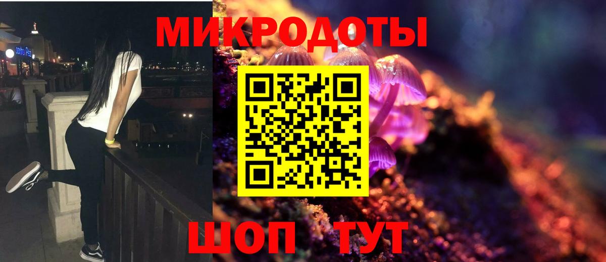 Галлюциногенные грибы Psilocybine cubensis  Вход с VPN  Ипатово 